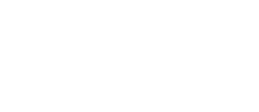 Bonobo 