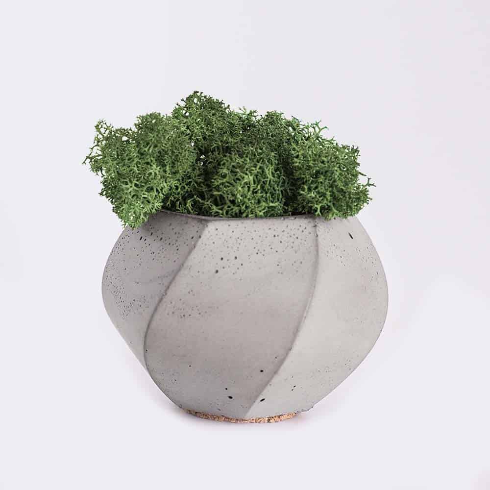 Collectibles plant4 free img